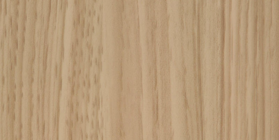 Дуб беленый